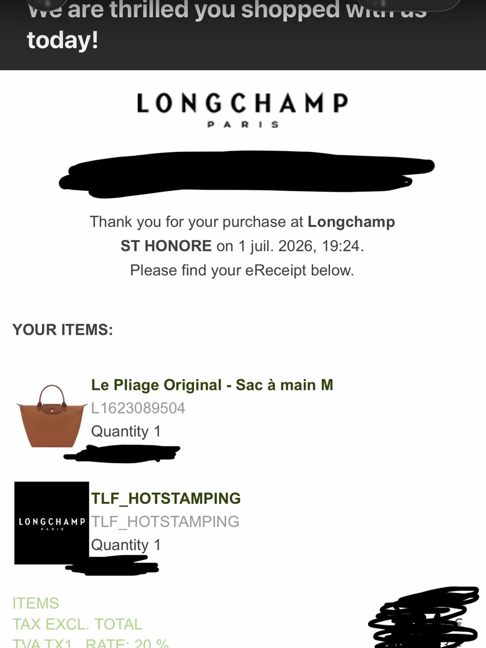 Paris Exclusive Eiffel Tower Gold Stamp Longchamp Bag - Picture 7 of 7